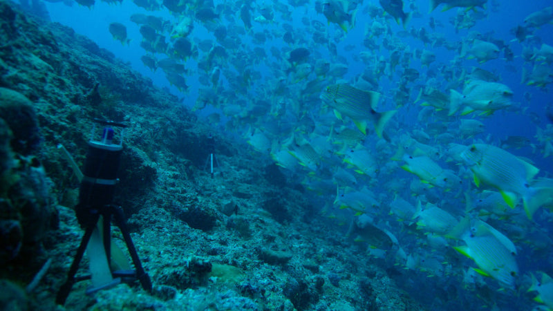 The RUDAR (Remote Underwater Digital Acoustic Recorder) is a passive acoustic monitoring device with a very compact, short-term, autonomous recording device that is designed for fast and easy deployment in a wide range of applications.

Uses of the RUDAR™ ranges from remote detection of methane bubbles to recording wild cetacean vocalizations for periods of more than sixteen days.

This easy-to-use recording system can be deployed to depths of up to 500m and will provide more than 14 days of continuous 16-b